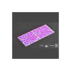 Alien Neon 4mm