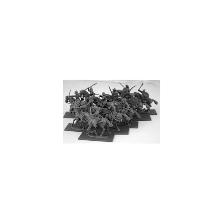 Arab Heavy Cavalry (12)