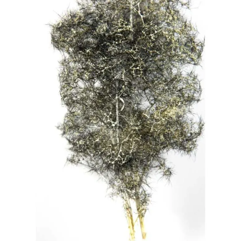 Black-white Fantasy Bushes 1/35