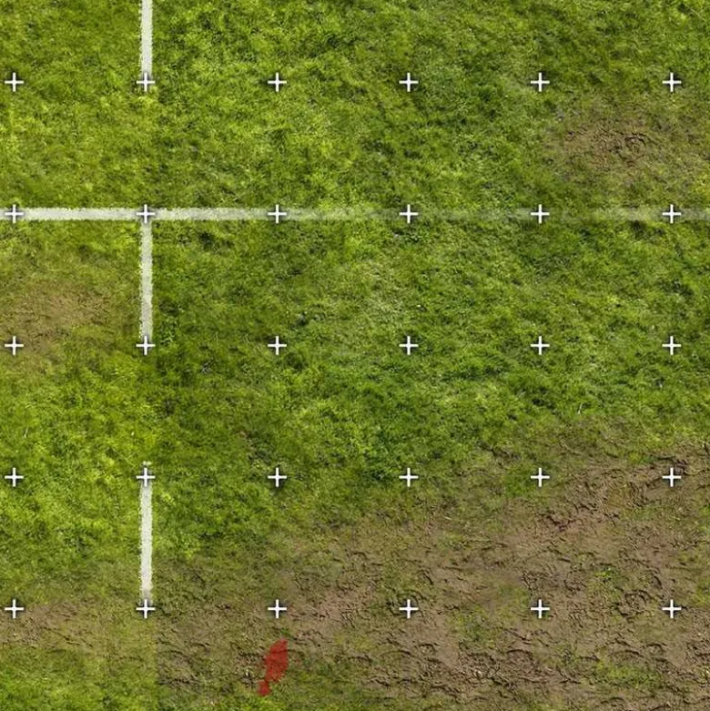 Blood Football Sevens Hierba