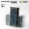 Bluebeard Flowers