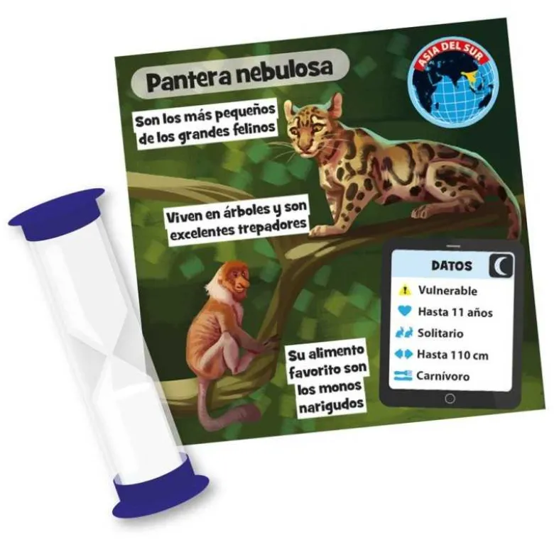 BrainBox Animales