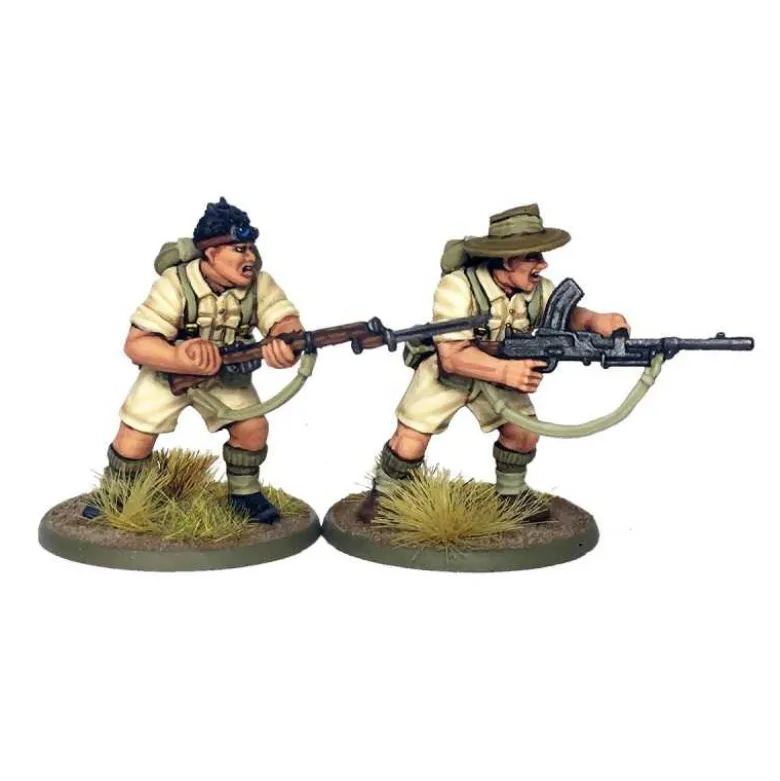 British Commonwealth Infantry Desert (30)