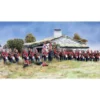 British Infantry (Zulu War) 1877 - 1881