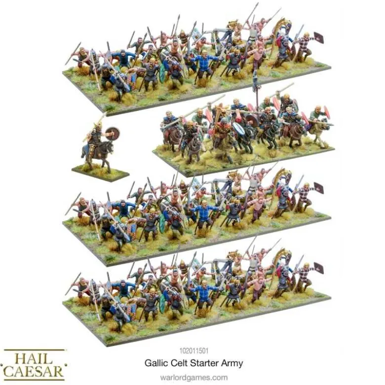 Celt Starter Army (Inglés)
