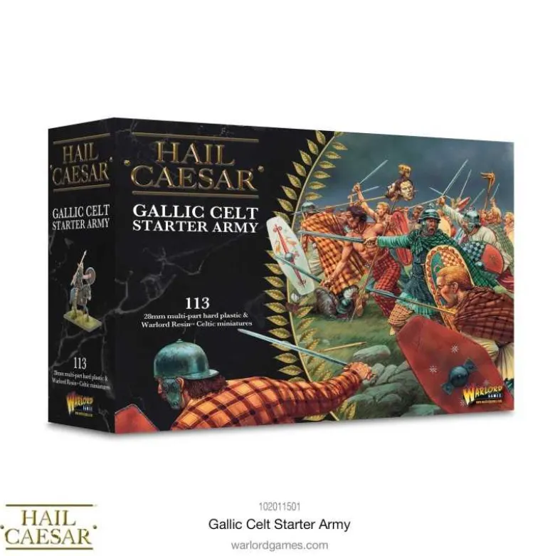 Celt Starter Army (Inglés)