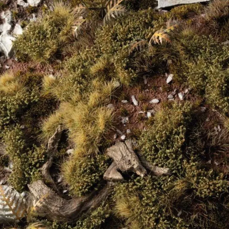 Dark Green Shrubs
