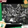 Dwarf Deathseekers (10)