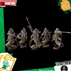 Exploradores (x5)