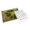 Forbidden Lands. Mapa extra de juego y pegatinas