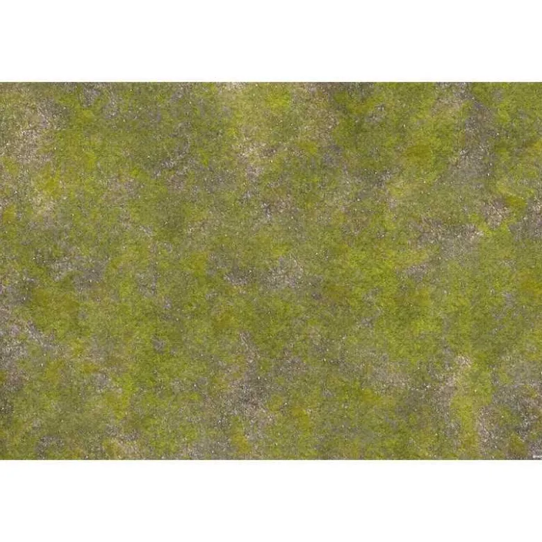 Hierba Rocosa - 180x120