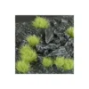 Light Green 6mm Wild