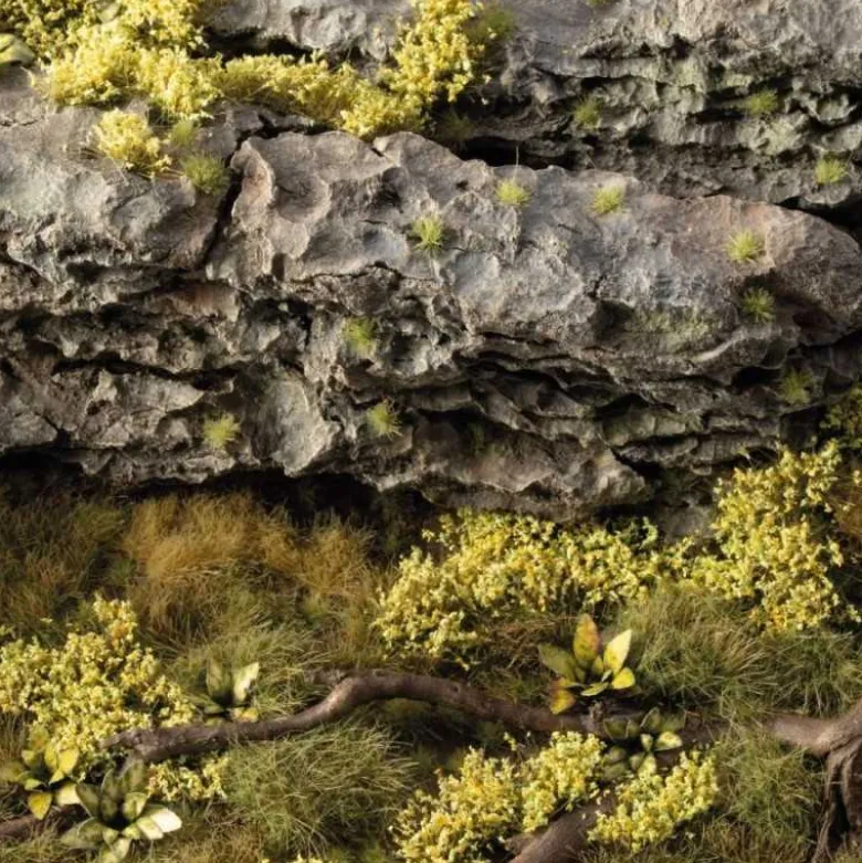Light Green Shrubs