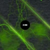 Mundo Necrontyr - 44"x30"