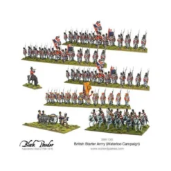 Napoleonic British Starter Army (Waterloo Campaign)