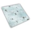 Nieve y Hielo - 120x120