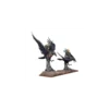 Northern Alliance Dwarf Raven Regiment