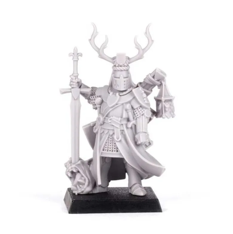 Questing Knight Paladin with Great Weapon (FW Resin)