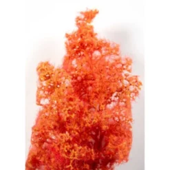Red-orange Fantasy Bushes 1/35