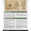 Reglamento Bolt Action V3 (Castellano) Faq incluídas