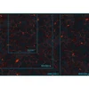Reino del Fuego (Aqshy) - 44"x60"
