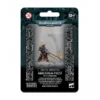 Sacerdote Del Ministorum Con Vindictor (1)