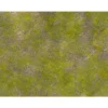 Saga Hierba Rocosa Tournament Ready - 120x90