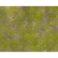 Saga Hierba Rocosa Tournament Ready - 120x90