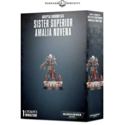 Sister Superior Amalia Novena (V.D.)