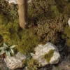 Swamp Shrubs