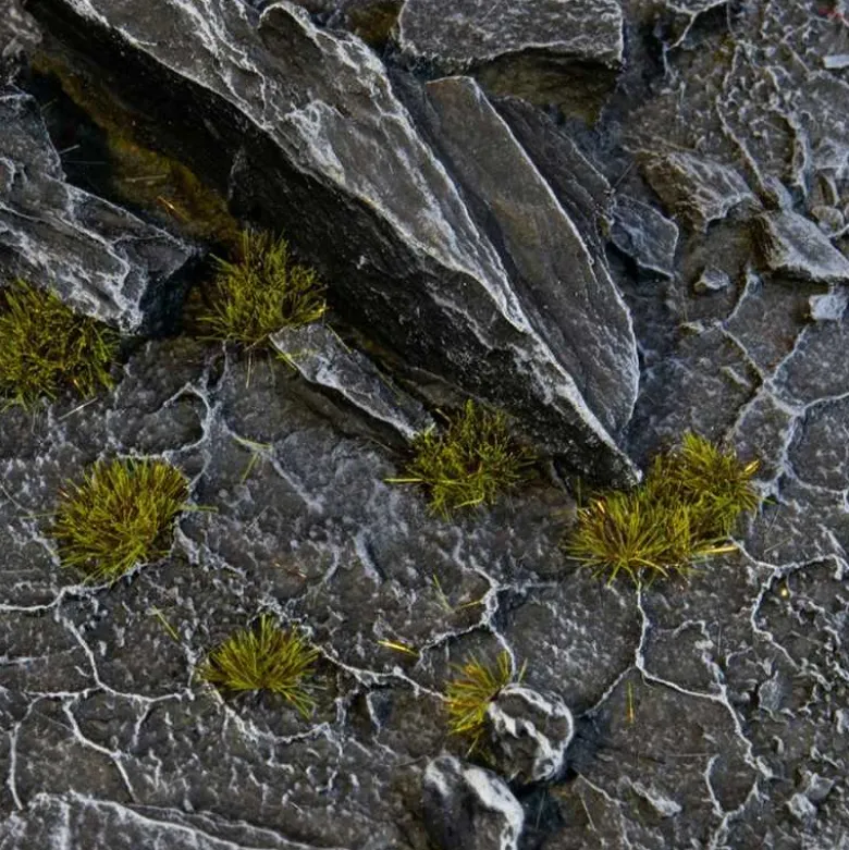 Tiny Tufts Dark Moss