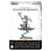 Tzeentch Arcanites Tzaangor Shaman
