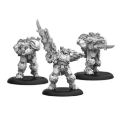 Warmachine: Cygnar Storm Legion Auxiliary Expansion