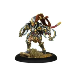 Warmachine: Orgoth Sea Raiders Battlegroup Box