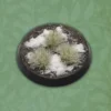 Winter Tufts (64)