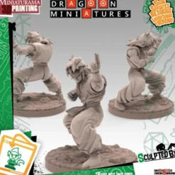 Yamcha Sokidan